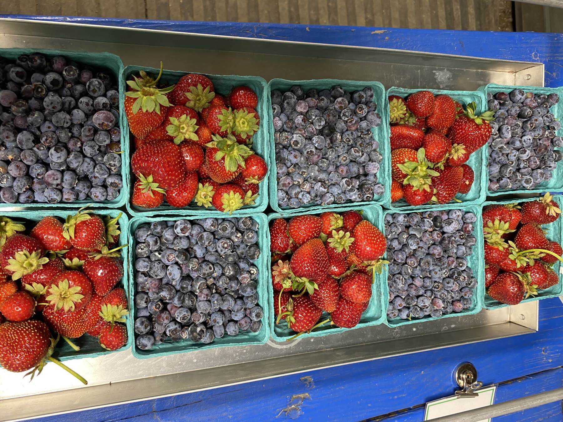 Quarts of black raspberries, blueberries and strawberries
