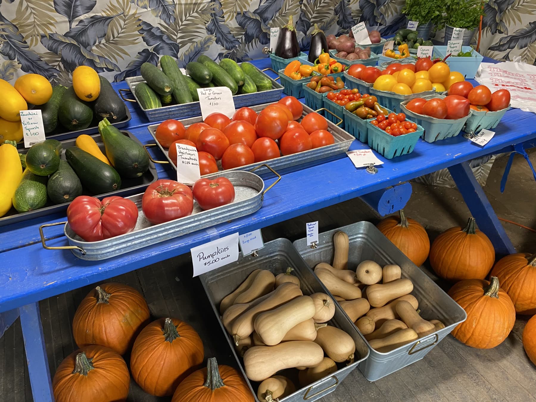 The market table: squash, tomatoes, pumpkins and butternuts on a blue cloth