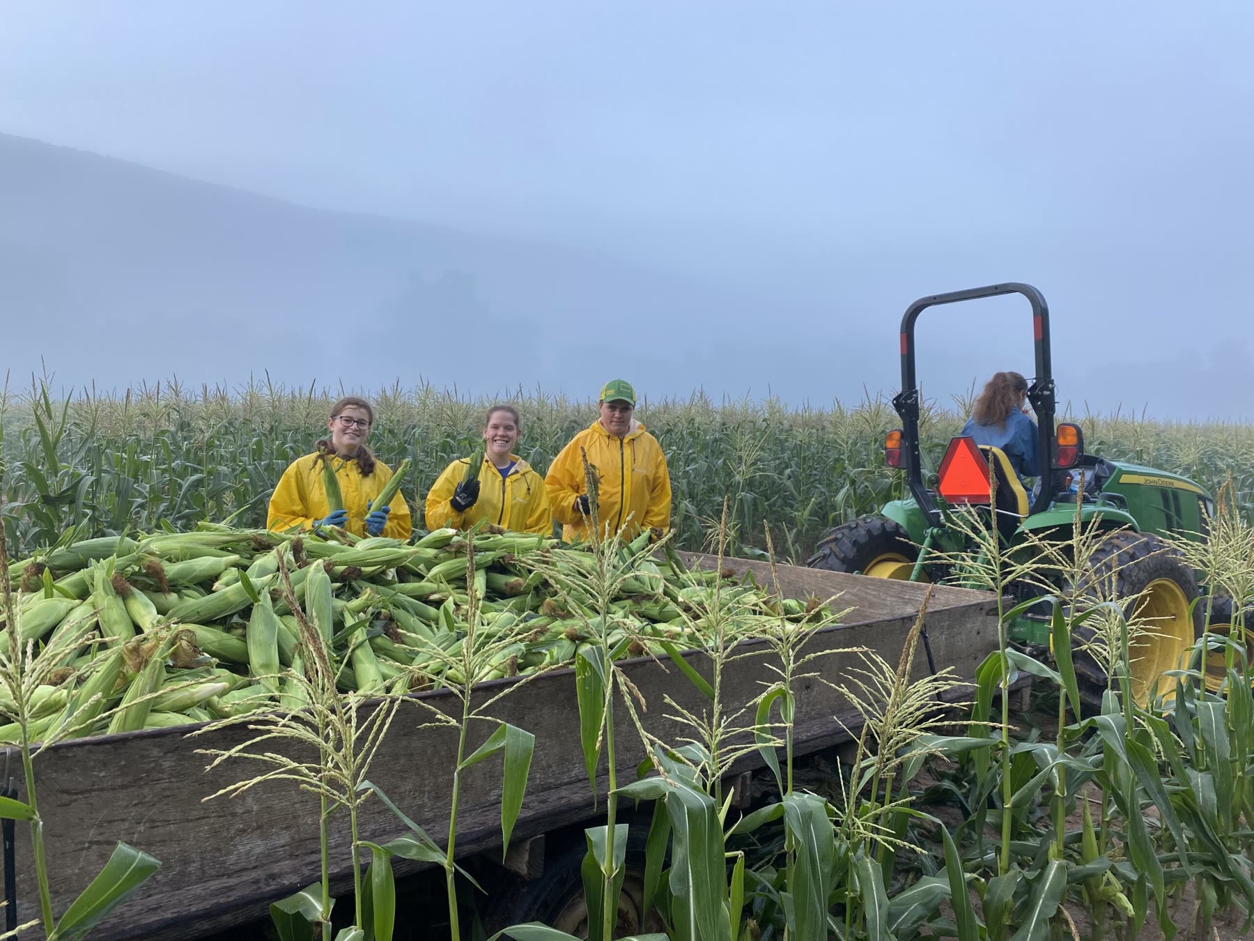 The crew on a wagon piled high with sweet corn behind the tractor